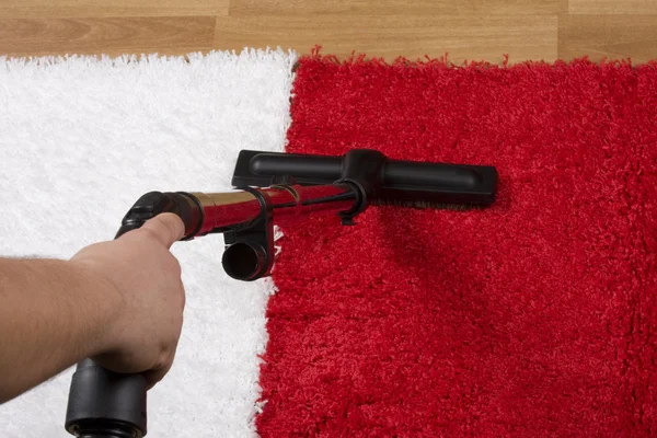 Professional carpet cleaning technician at work